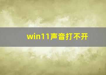 win11声音打不开