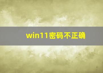 win11密码不正确