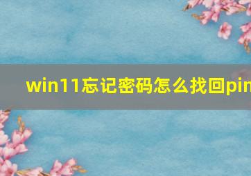 win11忘记密码怎么找回pin