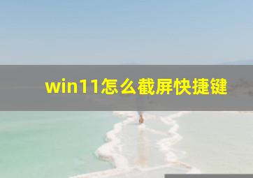 win11怎么截屏快捷键