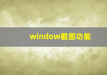 window截图功能