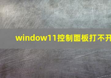 window11控制面板打不开