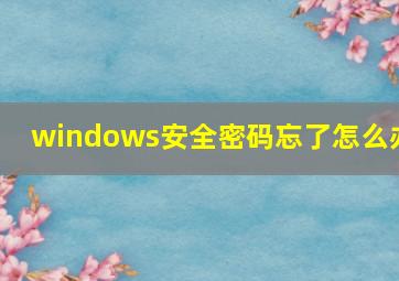 windows安全密码忘了怎么办