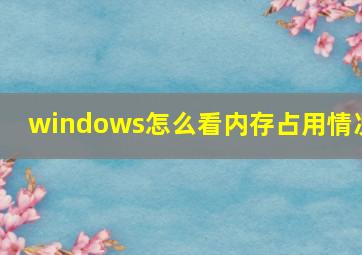 windows怎么看内存占用情况