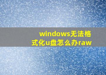 windows无法格式化u盘怎么办raw