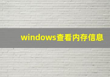 windows查看内存信息