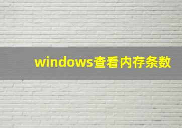 windows查看内存条数