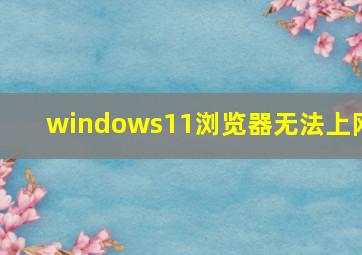 windows11浏览器无法上网