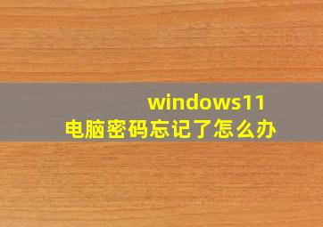 windows11电脑密码忘记了怎么办