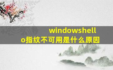 windowshello指纹不可用是什么原因