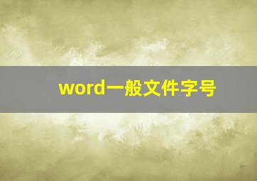 word一般文件字号