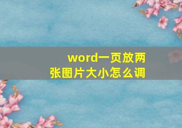 word一页放两张图片大小怎么调