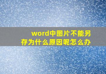 word中图片不能另存为什么原因呢怎么办