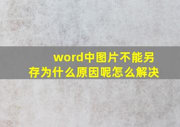 word中图片不能另存为什么原因呢怎么解决