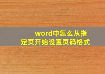 word中怎么从指定页开始设置页码格式