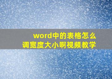 word中的表格怎么调宽度大小啊视频教学