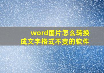 word图片怎么转换成文字格式不变的软件