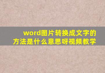 word图片转换成文字的方法是什么意思呀视频教学