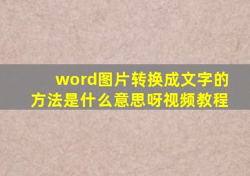 word图片转换成文字的方法是什么意思呀视频教程