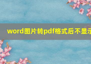 word图片转pdf格式后不显示