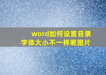 word如何设置目录字体大小不一样呢图片