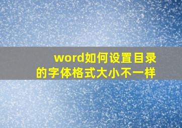 word如何设置目录的字体格式大小不一样