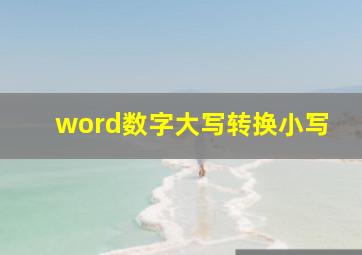 word数字大写转换小写