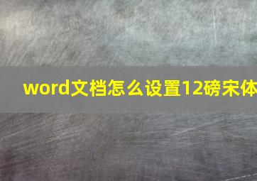 word文档怎么设置12磅宋体