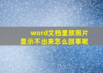 word文档里放照片显示不出来怎么回事呢