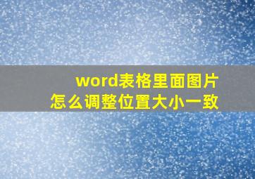 word表格里面图片怎么调整位置大小一致