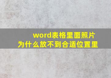 word表格里面照片为什么放不到合适位置里