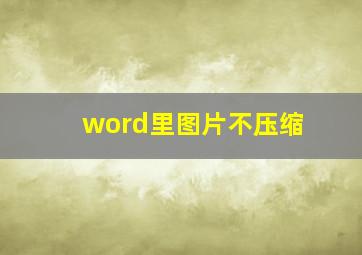 word里图片不压缩