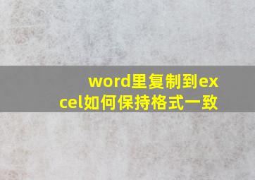 word里复制到excel如何保持格式一致