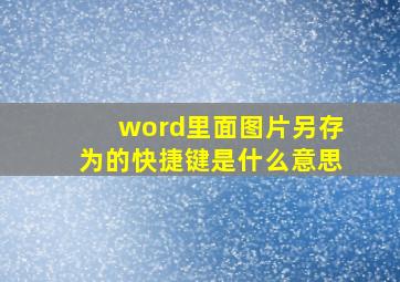 word里面图片另存为的快捷键是什么意思