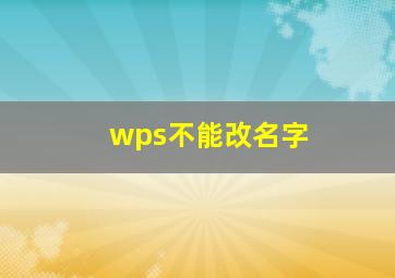 wps不能改名字