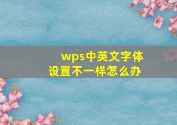 wps中英文字体设置不一样怎么办