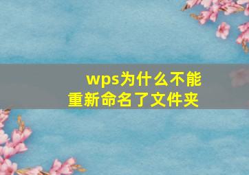 wps为什么不能重新命名了文件夹