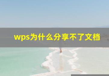 wps为什么分享不了文档