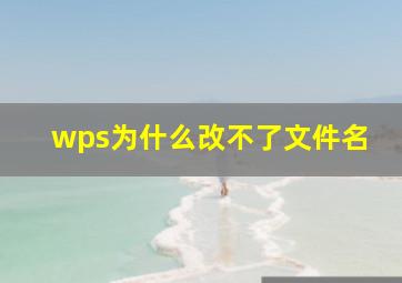 wps为什么改不了文件名