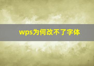 wps为何改不了字体