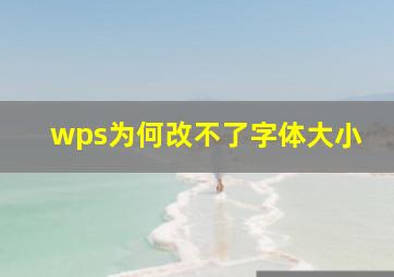 wps为何改不了字体大小