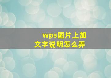 wps图片上加文字说明怎么弄