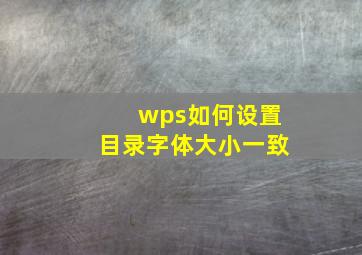 wps如何设置目录字体大小一致