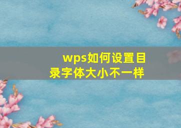 wps如何设置目录字体大小不一样