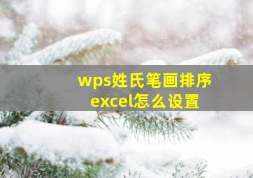 wps姓氏笔画排序excel怎么设置