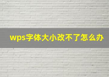 wps字体大小改不了怎么办