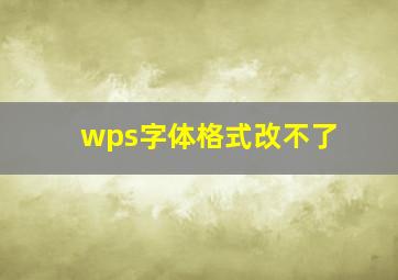 wps字体格式改不了