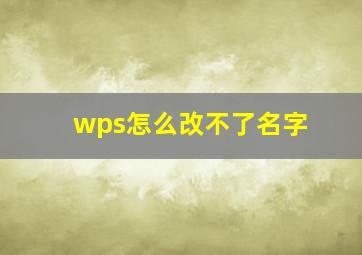 wps怎么改不了名字