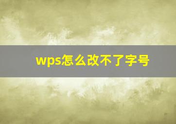 wps怎么改不了字号