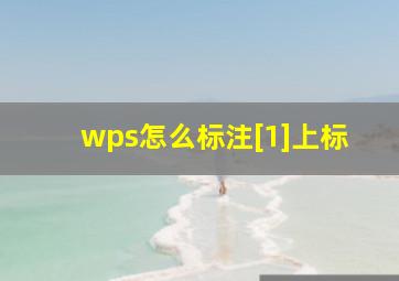 wps怎么标注[1]上标